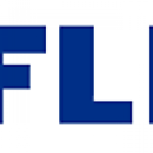 Flir logo